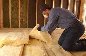 Best Eco-Friendly or Green Insulation Solutions  in Louise, TX