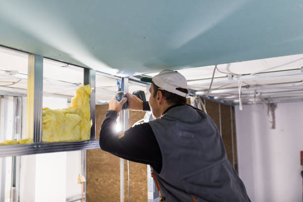 Best Soundproof Insulation  in Louise, TX