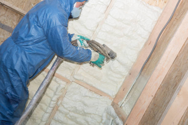 Best Attic Insulation Installation  in Louise, TX